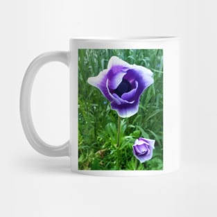 Delicate purple and white anemones Mug